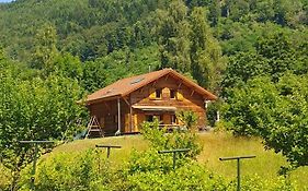 Chalet Des Charbonniers Avec Etang